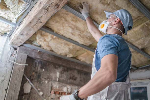 Best Specialized Insulation Services in Speedway, IN