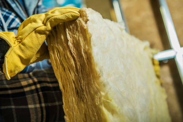 Types of Insulation We Offer in Speedway, IN