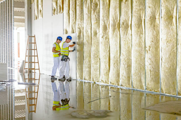 Best DIY Insulation Kits and Guidance in Speedway, IN